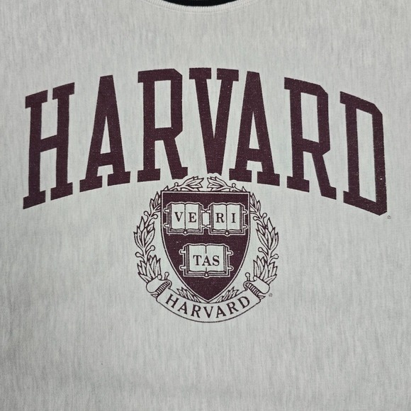 Champion Reverse Weave Sweatshirt Mens Large Gray Harvard Pullover Sweater - Picture 4 of 11